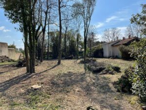 Nettoyage et débroussaillage à Cabannes