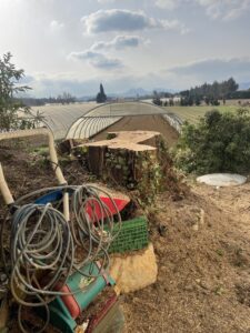 Abattage par démontage à Senas