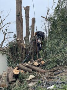 Abattage par démontage à Senas